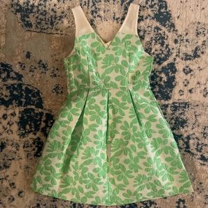 Green and White Dress